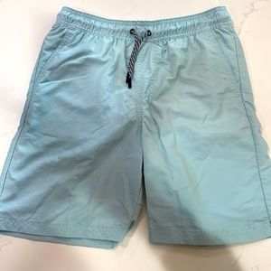 Art Class boys bluish swim trunks size L(12/14)